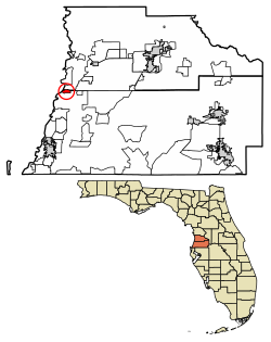 Aripeka Map